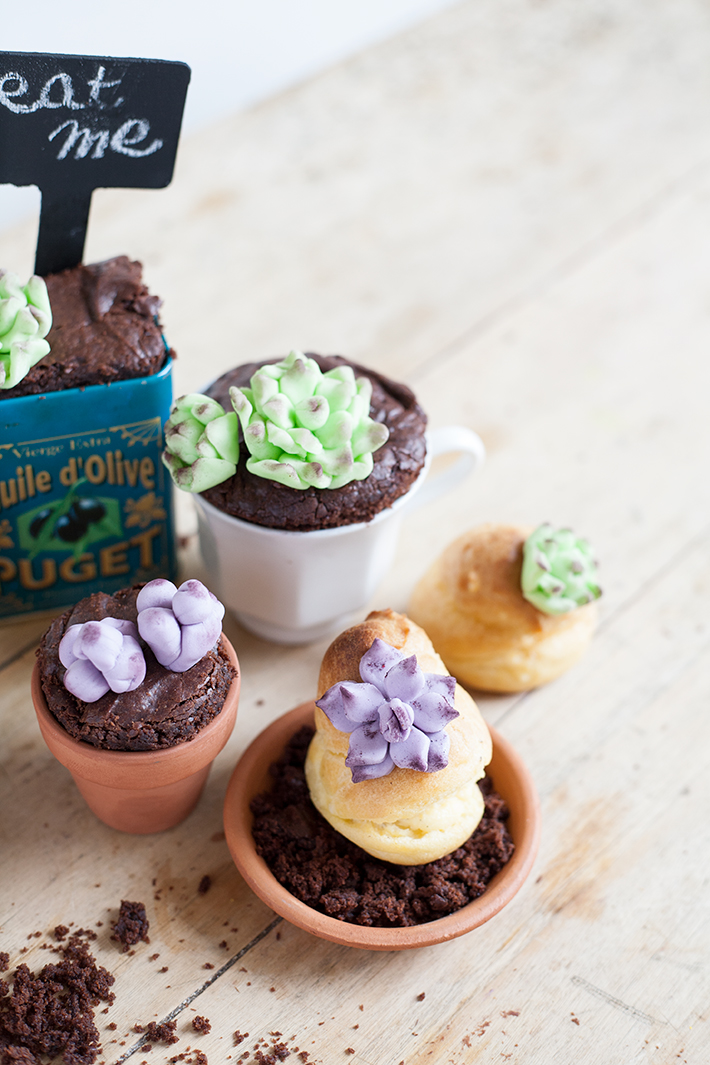 jardin_culinaire6