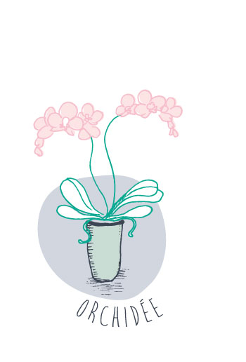 orchidee2