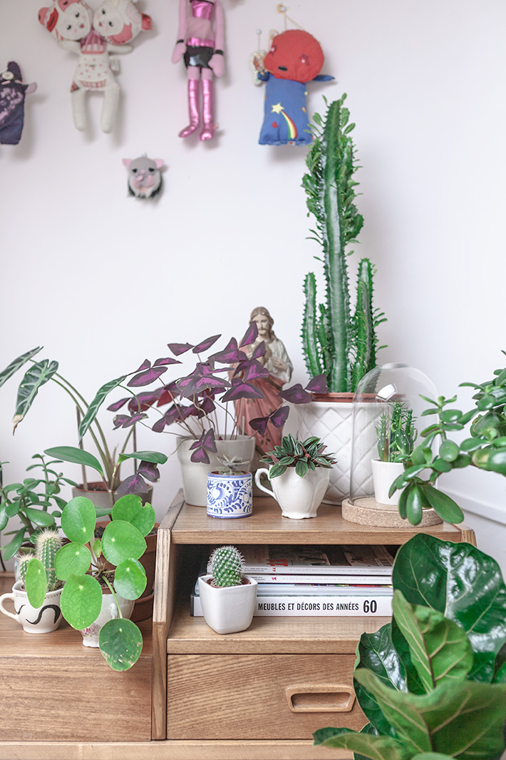 Un coin vert dans le salon et une lampe Eclipse par Mauricio Klabin pour Objekto. #Oxalis #PileaPeperomioïde #Alocasia #cactus Un coin vert dans le salon et une lampe Eclipse par Mauricio Klabin pour Objekto. #Oxalis #PileaPeperomioïde #Alocasia #cactus